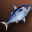 Large Blue Nimble Fish - Upper Grade